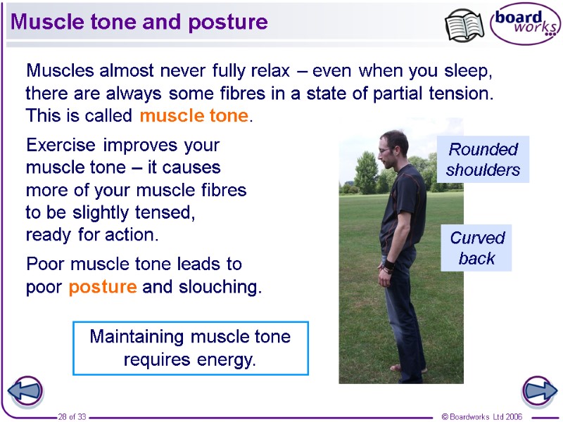 Muscle tone and posture Muscles almost never fully relax – even when you sleep,